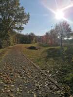 Hundeauslaufgebiet-Hundefreilauffläche Ladbergen-Bild