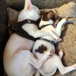 Ersteller:in Stefanie Profilbild