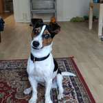 Ersteller:in Susann Profilbild