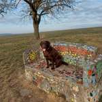 Ersteller:in Anja Profilbild