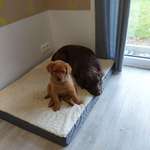 Ersteller:in Anja Profilbild