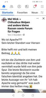 Suchmeldung-Apache-Bild