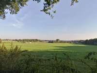 Hundeauslaufgebiet-Bauer Godde-Bild