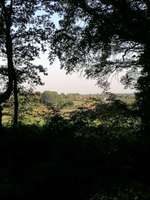 Hundeauslaufgebiet-Bauer Godde-Bild