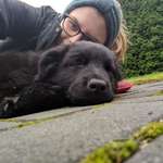 Ersteller:in Anne Profilbild