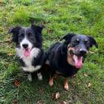 Ersteller:in Bettina Profilbild