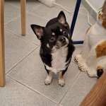 Ersteller:in Mila Profilbild