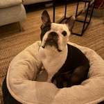 Ersteller:in Kate Profilbild