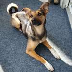 Ersteller:in Sabine Profilbild