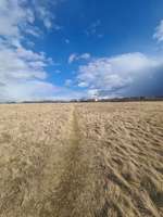 Hundeauslaufgebiet-Panzerwiese-Bild