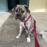 Ersteller:in Kerstin Profilbild