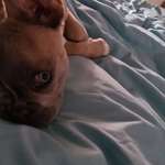 Ersteller:in Stenly Jessy Profilbild