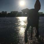 Ersteller:in Antje Profilbild