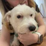 Ersteller:in Alena Sophie Profilbild