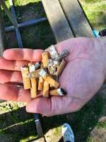 Hundeauslaufgebiet-Badesee Liefering-Bild