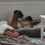 Ersteller:in Sarah Profilbild