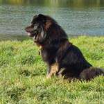 Ersteller:in Boomer Profilbild