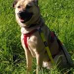 Ersteller:in Monique Profilbild