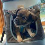 Ersteller:in Susan Profilbild