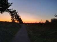 Hundeauslaufgebiet-Ostcharweg-Bild