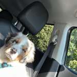 Ersteller:in Natascha Profilbild