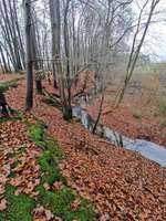 Hundeauslaufgebiet-Grünes Rad - Beketal-Bild