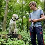 Ersteller:in Guido Profilbild