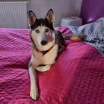 Ersteller:in Anja Profilbild