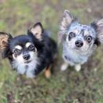 Ersteller:in Celina Profilbild