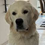 Ersteller:in Fenna Profilbild