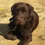 Ersteller:in Janine Profilbild