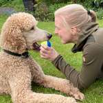 Ersteller:in Melanie Profilbild