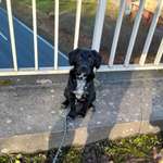 Ersteller:in Laura Profilbild