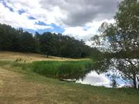 Hundeauslaufgebiet-Hundebadestrand Twistesee-Bild