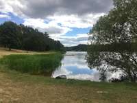 Hundeauslaufgebiet-Hundebadestrand Twistesee-Bild