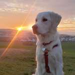 Ersteller:in Nadine Profilbild