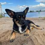 Ersteller:in Jutta Profilbild