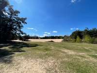 Hundeauslaufgebiet-Sanddüne Speyer-Bild