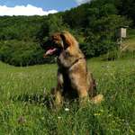 Ersteller:in Steffen Profilbild