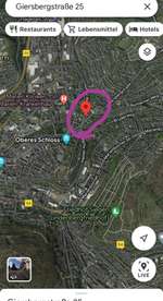 Suchmeldung-Goldi-Bild