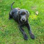 Ersteller:in Anja Profilbild