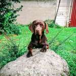 Ersteller:in Jasmin Profilbild