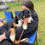 Ersteller:in Laura Profilbild