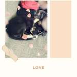 Ersteller:in Zucker Profilbild