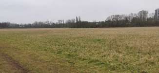 Hundeauslaufgebiet-Hundewiese Weißenthurm-Bild