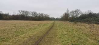 Hundeauslaufgebiet-Hundewiese Weißenthurm-Bild