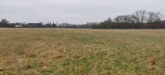 Hundeauslaufgebiet-Hundewiese Weißenthurm-Bild
