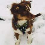 Ersteller:in Natalia Profilbild