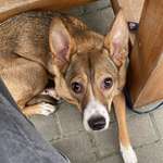 Ersteller:in Stef Profilbild