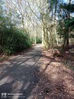 Hundeauslaufgebiet-Elmendorfer Holz-Bild